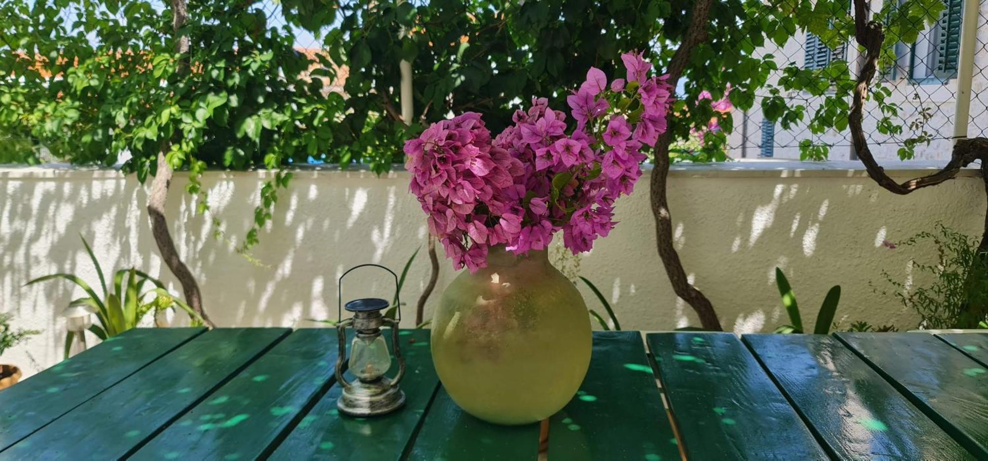 Guesthouse Lidija スティヴァン エクステリア 写真